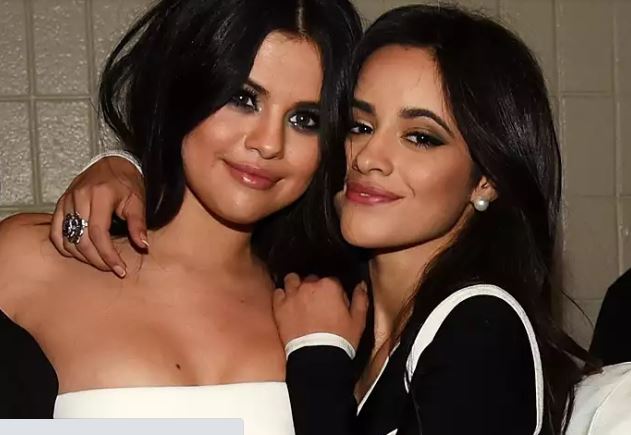 Camila Cabello reveló el mejor consejo de salud mental