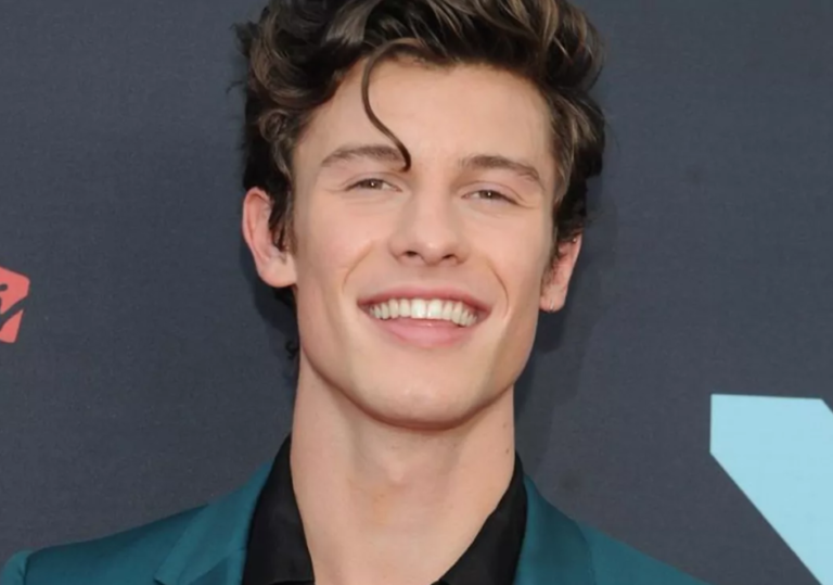 ¿Por qué Shawn Mendes atraviesa un momento complicado?